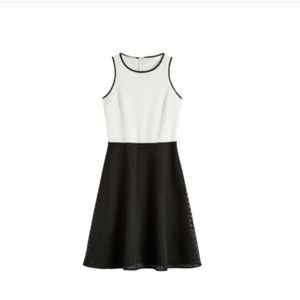 London Times black and white dress NWOT